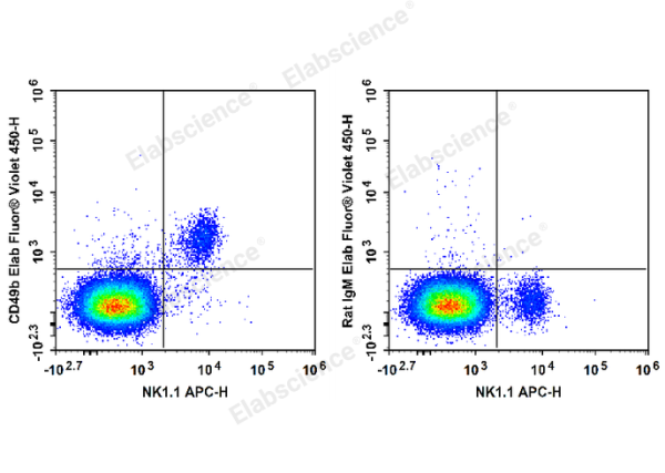 Elab Fluor® Violet 450 Anti-Mouse CD49b/pan-NK cells Antibody[DX5] (E-AB-F1116UQ)
