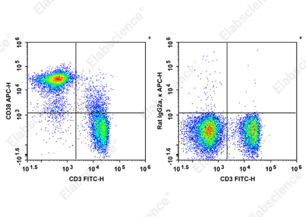APC Anti-Mouse CD38 Antibody[90] (AN00858E)