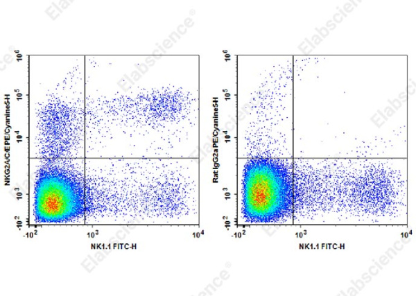 PE/Cyanine5 Anti-Mouse NKG2A/C/E Antibody[20d5] (AN00409G)