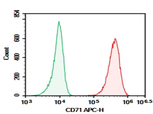 Purified Anti-Human CD71 Antibody[CY1G4] (AN009670P)