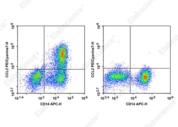 PE/Cyanine7 Anti-Human CCL2 Antibody[2H5] (AN00841H)