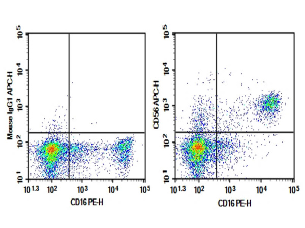 Purified Anti-Human CD56 Antibody[5.1H11] (E-AB-F1239A)