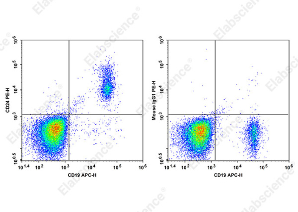 PE Anti-Human CD24 Antibody[HIQB24] (AN00645D)