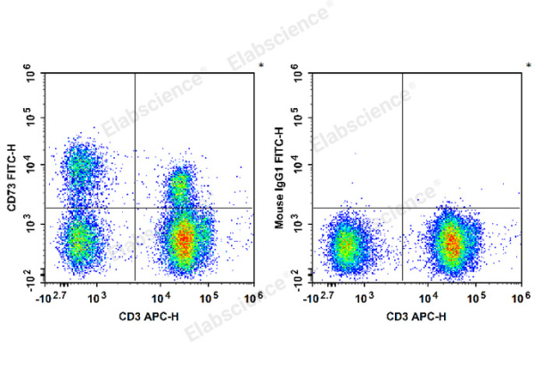 FITC Anti-Human CD73 Antibody[AD2] (E-AB-F1242C)