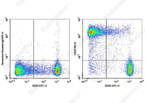 PE Anti-Mouse CD27 Antibody[LG.3A10] (AN00322D)