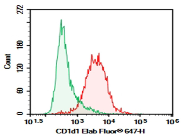 Purified Anti-Mouse CD1d Antibody[19G11] (E-AB-F1032A)
