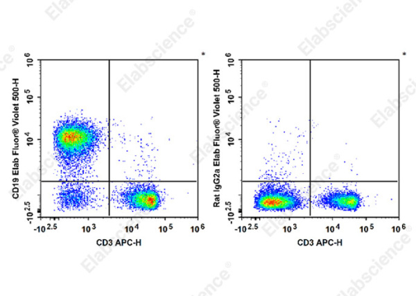 Elab Fluor® Violet 500 Anti-Mouse CD19 Antibody[1D3] (E-AB-F0986UR)
