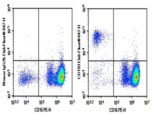 Purified Anti-Human CD193 Antibody[5E8] (E-AB-F1303A)