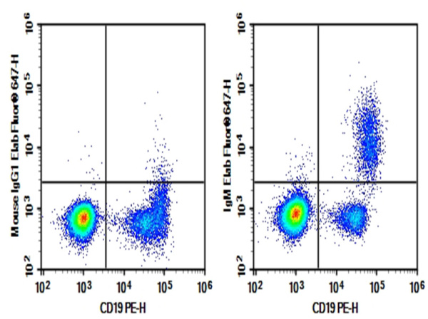 Purified Anti-Human IgM Antibody[MHM-88] (E-AB-F11720P)