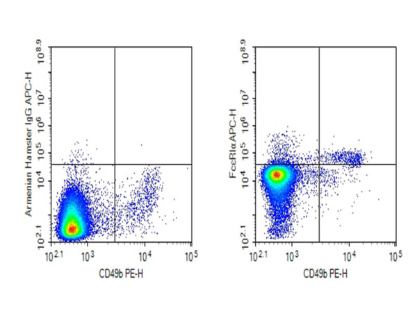 AF/LE Purified Anti-Mouse FcεRIα Antibody[MAR-1] (E-AB-F11880)
