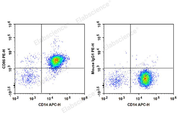 PE Anti-Human CD86 Antibody[BU63] (E-AB-F1012D)