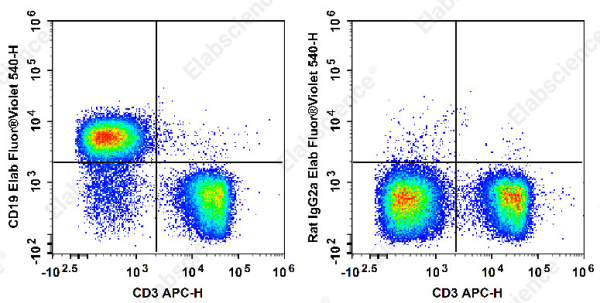 Elab Fluor® Violet 540 Anti-Mouse CD19 Antibody[1D3] (E-AB-F0986UT3)