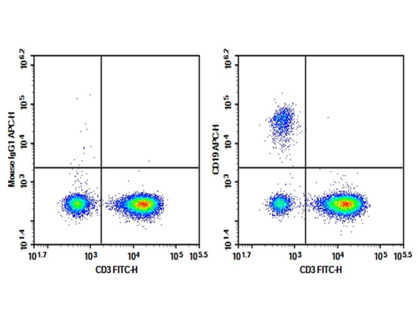Purified Anti-Human CD19 Antibody[HI19a] (E-AB-F1304A)