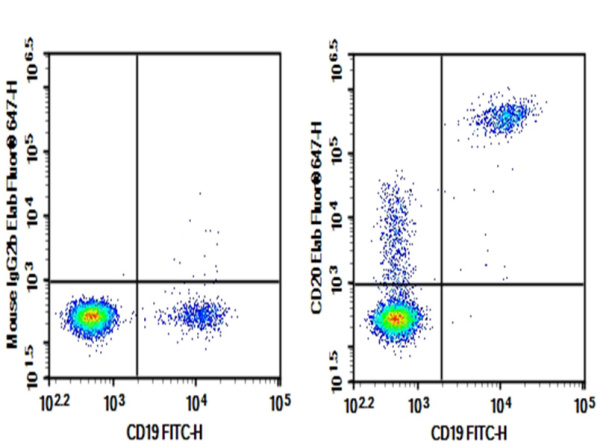 AF/LE Purified Anti-Human/Monkey CD20 Antibody[2H7] (E-AB-F12120)