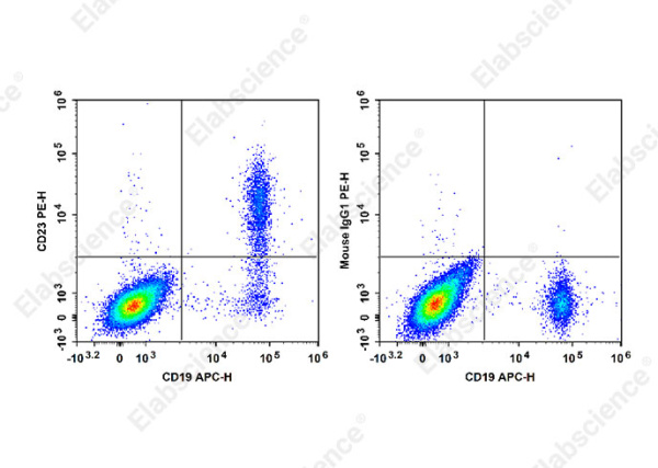 PE Anti-Human CD23 Antibody[EBVCS2] (E-AB-F1382D)