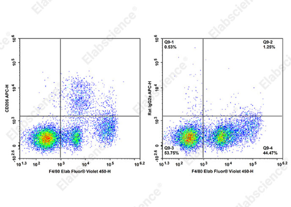 APC Anti-Mouse CD206 Antibody[Y17-505] (AN00807E)