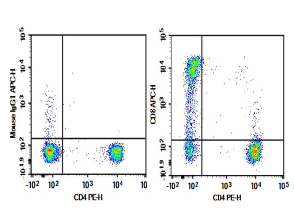 Purified Anti-Human CD8a Antibody[RPA-T8] (AN008820P)