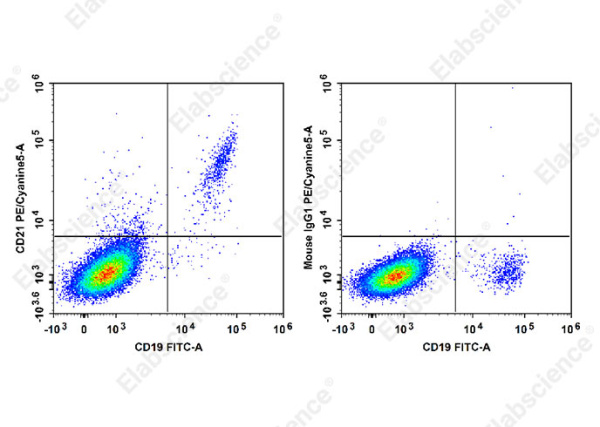 PE/Cyanine5 Anti-Human CD21 Antibody[BU32] (E-AB-F1046G)