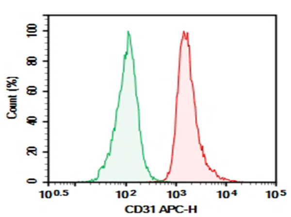 Purified Anti-Human CD31 Antibody[WM59] (AN007960P)