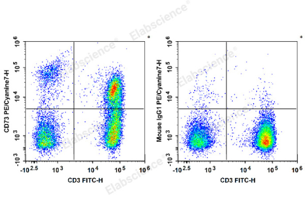 PE/Cyanine7 Anti-Human CD73 Antibody[AD2] (E-AB-F1242H)