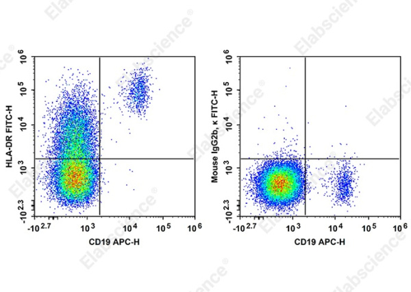 FITC Anti-Human HLA-DR Antibody[LN3] (AN00960C)