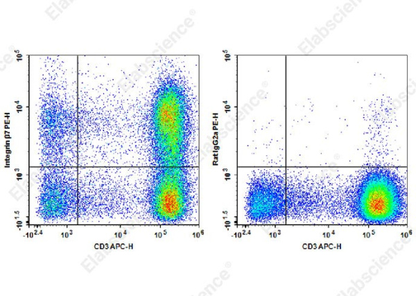 PE Anti-Human/Mouse Integrin β7 Antibody[FIB21] (AN00423D)