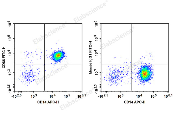 FITC Anti-Human CD86 Antibody[BU63] (E-AB-F1012C)