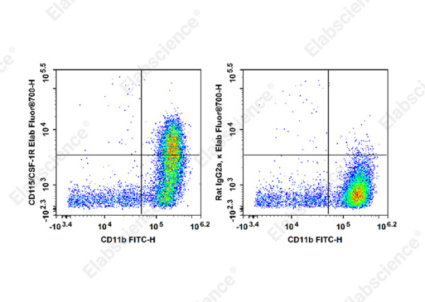 Elab Fluor® 700 Anti-Mouse CD115/CSF-1R Antibody[AFS98] (E-AB-F1107UM1)
