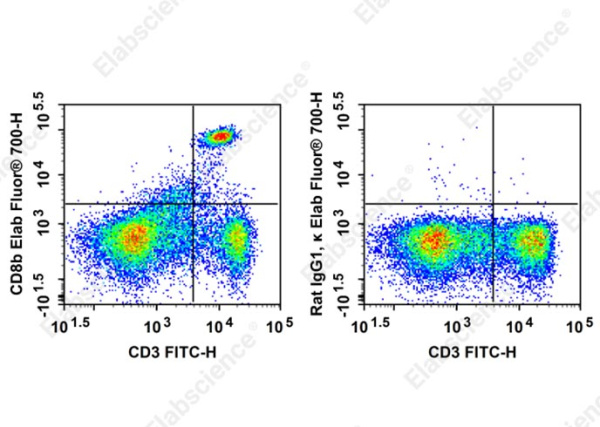 Elab Fluor®700 Anti-Mouse CD8b Antibody[YTS156.7.7] (AN00479M1)