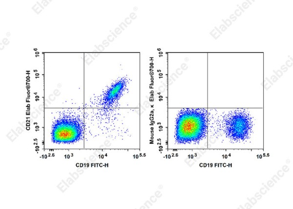 Elab Fluor® 700 Anti-Human CD21 Antibody[HI21a] (E-AB-F1320M1)