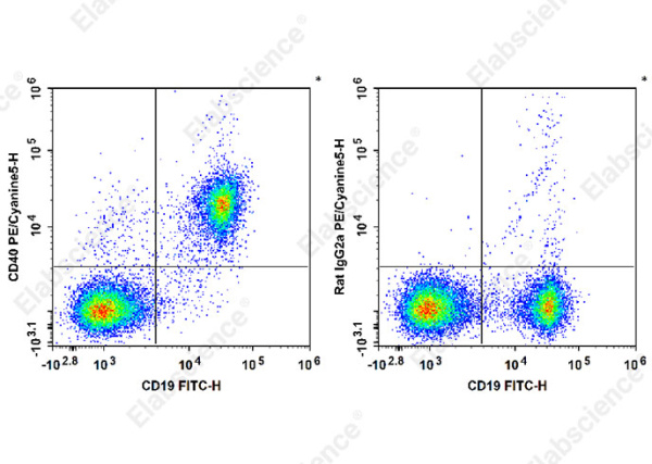 PE/Cyanine5 Anti-Mouse CD40 Antibody[FGK4.5/FGK45] (E-AB-F1028G)