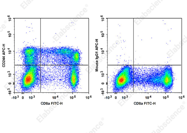 APC Anti-Human CD244 Antibody[C1.7] (E-AB-F1374E)