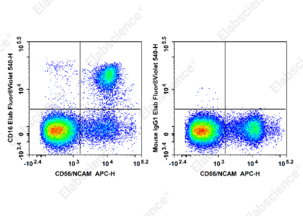 Elab Fluor® Violet 540 Anti-Human/Monkey CD16 Antibody[3G8] (E-AB-F1236T3)