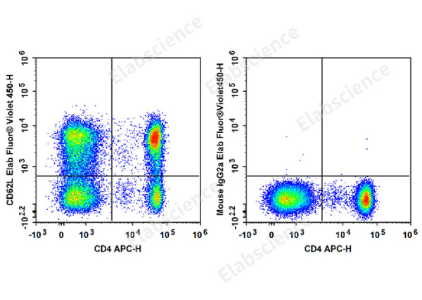 Elab Fluor® Violet 450 Anti-Human CD62L Antibody[HI62L] (E-AB-F1336Q)