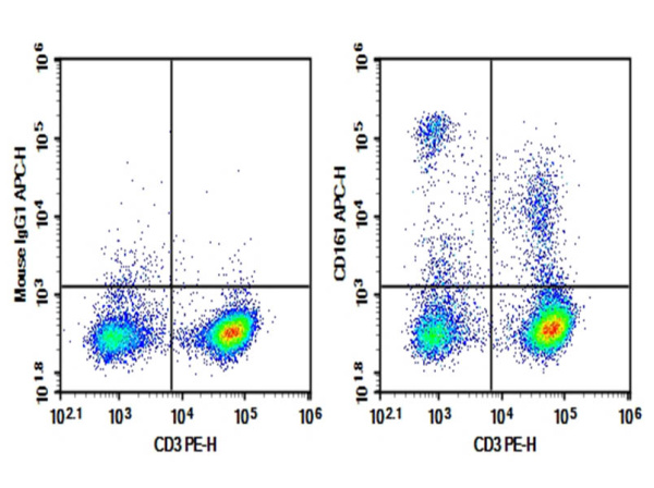 Purified Anti-Rat CD161 Antibody[3.2.3] (E-AB-F1307A)