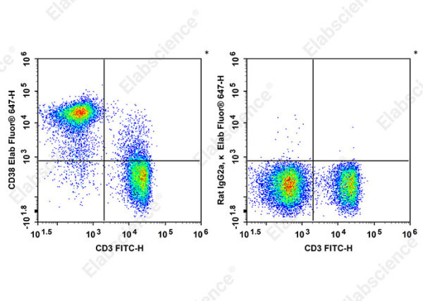 Elab Fluor® 647 Anti-Mouse CD38 Antibody[90] (AN00858M)
