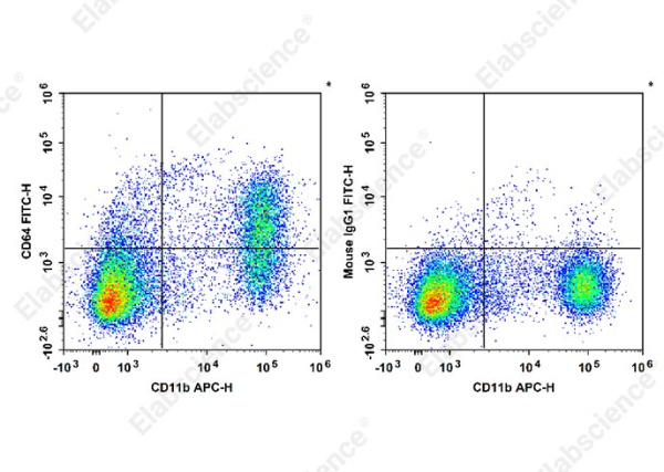 FITC Anti-Mouse CD64/FcγRI Antibody[X54-5/7.1] (E-AB-F1186UC)