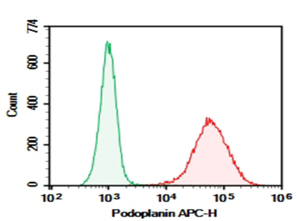 AF/LE Purified Anti-Mouse Podoplanin Antibody[8.1.1] (AN009680)