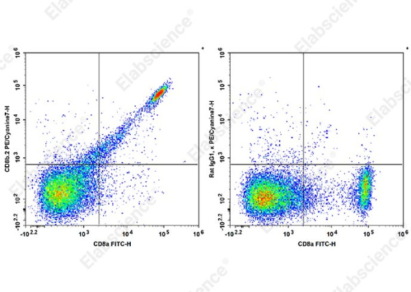 PE/Cyanine7 Anti-Mouse CD8b.2 Antibody[53-5.8] (AN00564H)