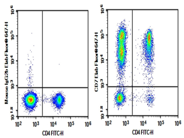 Purified Anti-Human CD7 Antibody[3A1e] (AN003510P)