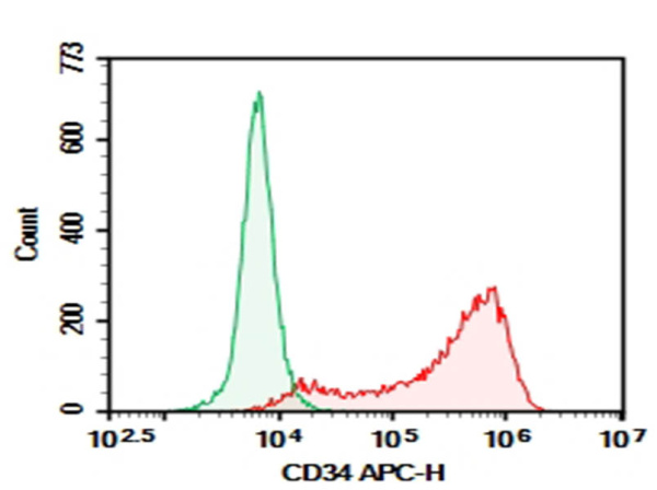 Purified Anti-Human CD34 Antibody[561] (AN009290P)
