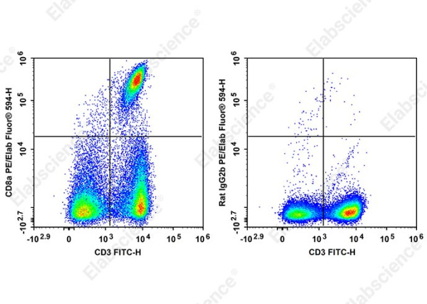 PE/Elab Fluor® 594 Anti-Mouse CD8a Antibody[2.43] (E-AB-F9996P)