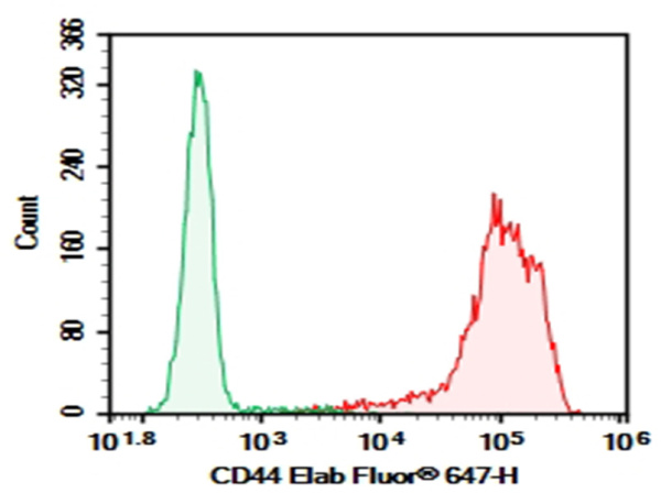 Purified Anti-Human CD44 Antibody[P2A1] (E-AB-F10380P)