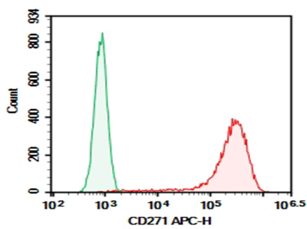Purified Anti-Human CD271 Antibody[ME20.4] (AN009700P)