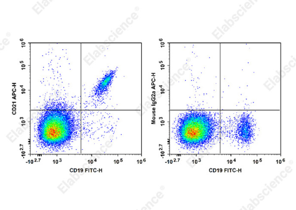 APC Anti-Human CD21 Antibody[HI21a] (E-AB-F1320E)