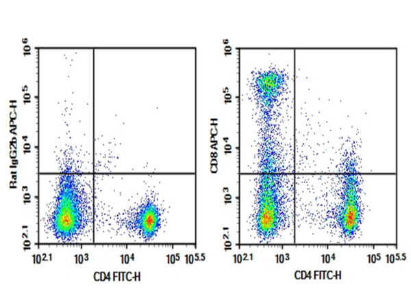 Purified Anti-Mouse CD8 Antibody[S18018E] (AN009320P)