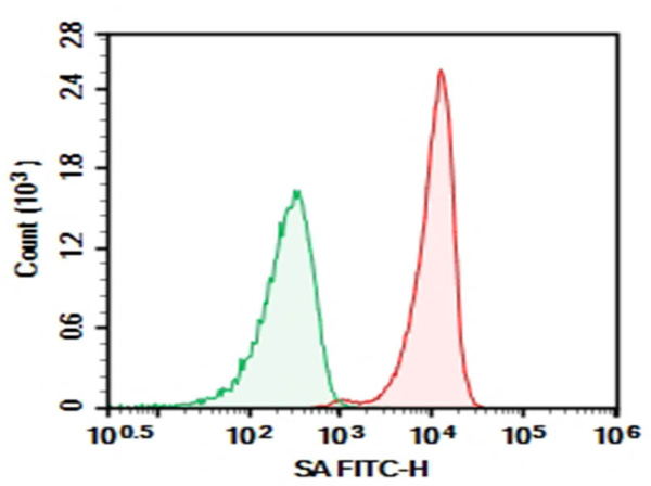 Purified Anti-Streptavidin Antibody[15E6] (AN004140P)