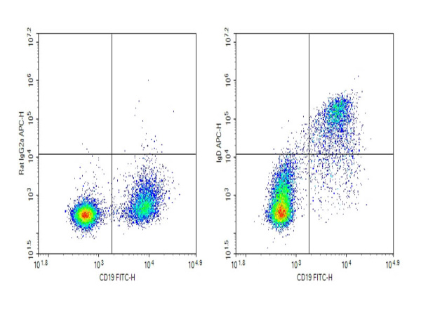 Purified Anti-Mouse IgD Antibody[11-26c.2a] (E-AB-F1189A)