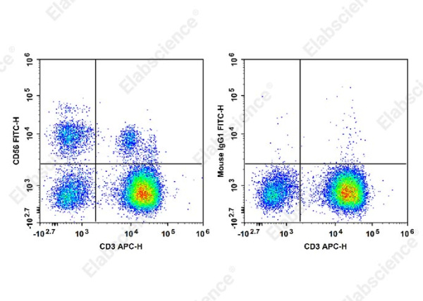 FITC Anti-Human CD56/NCAM Antibody[5.1H11] (E-AB-F1239C)