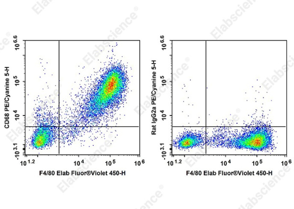 PE/Cyanine 5 Anti-Mouse CD68 Antibody[FA-11] (AN00927G)